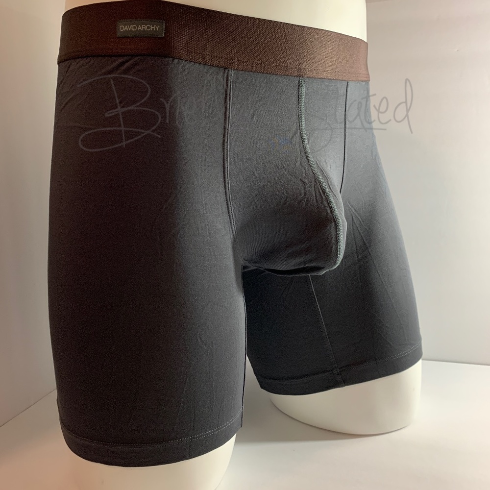 David Archy Bamboo Boxer Briefs - Grey (M)